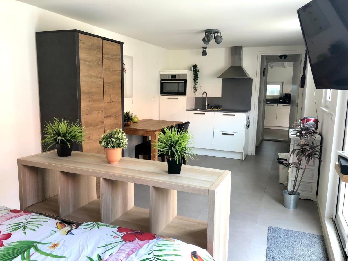 Ferienhaus Gluecklich Am Meer 3 Mit Wellnesszugang Egmond aan Zee Luaran gambar
